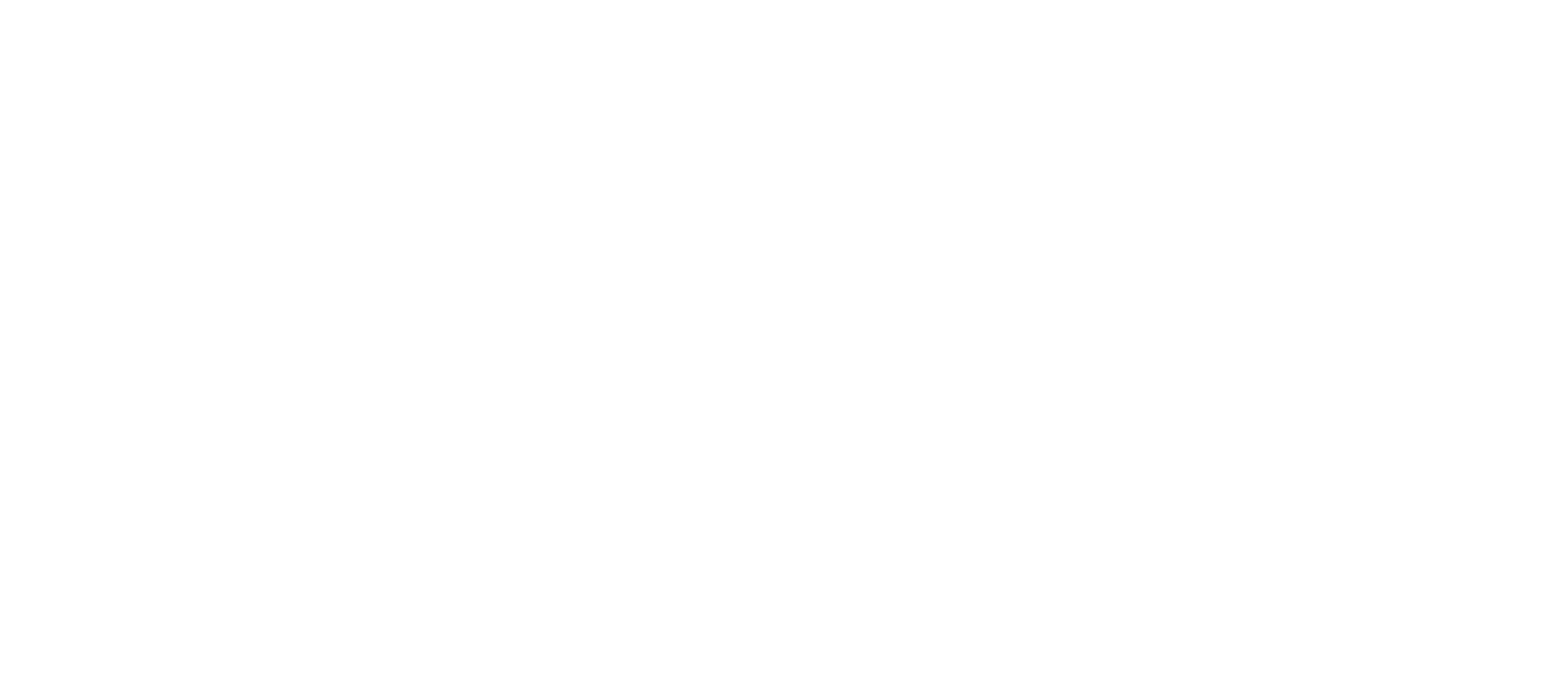 RVSE