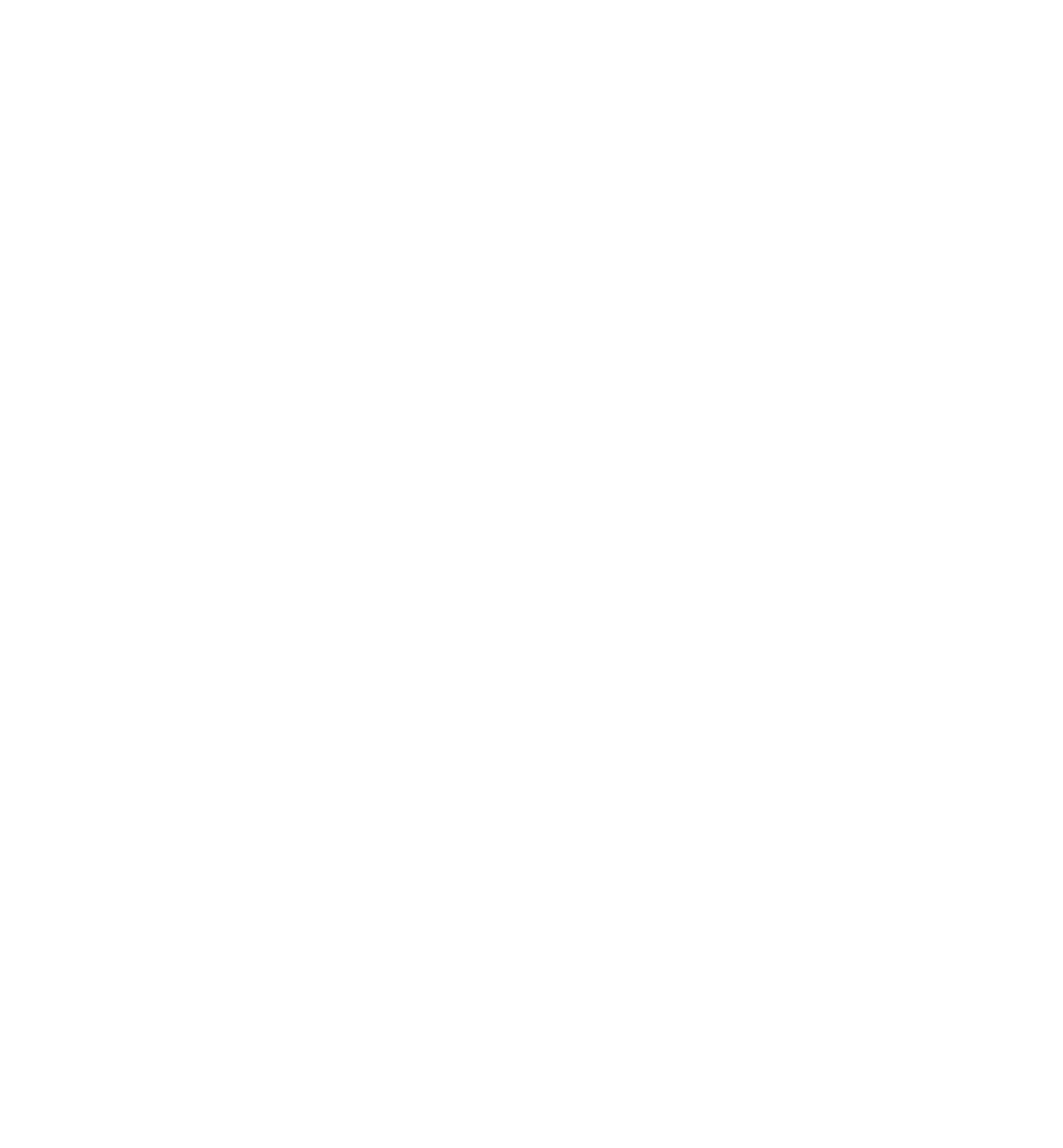RVSE